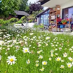 Bayerischerwald-ferien-blockhaus-panoramablick-grafenau Haus Im Wald-vogelthenne 19, Fast Alleinlage-ilztal-blick Naehe Rothauer, Saldenburger, Ebenreuther Und Eginger Im Dreiburgenland, Unweit Der Dreifluesse-stadt Passau An Der Donau Und Il *
