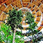 Bayerischerwald-ferien-blockhaus-panoramablick-grafenau Haus Im Wald-vogelthenne 19, Fast Alleinlage-ilztal-blick Naehe Rothauer, Saldenburger, Ebenreuther Und Eginger Im Dreiburgenland, Unweit Der Dreifluesse-stadt Passau An Der Donau Und Il * Grafenau (Bavaria)