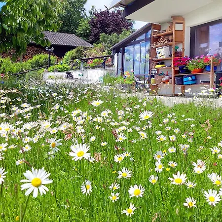 Bayerischerwald-ferien-blockhaus-panoramablick-grafenau Haus Im Wald-vogelthenne 19, Fast Alleinlage-ilztal-blick Naehe Rothauer, Saldenburger, Ebenreuther Und Eginger Im Dreiburgenland, Unweit Der Stadt Passau An Der Donau Und Ilz *