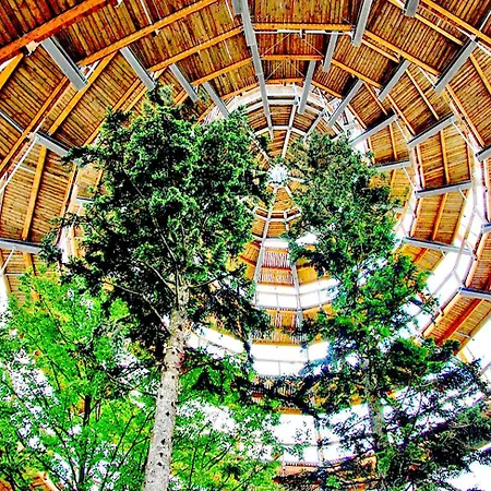 Bayerischerwald-ferien-blockhaus-panoramablick-grafenau Haus Im Wald-vogelthenne 19, Fast Alleinlage-ilztal-blick Naehe Rothauer, Saldenburger, Ebenreuther Und Eginger Im Dreiburgenland, Unweit Der Stadt Passau An Der Donau Und Ilz * Grafenau (Bavaria)