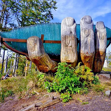 בית נופש Bayerischerwald-ferien-blockhaus-panoramablick-grafenau Haus Im Wald-vogelthenne 19, Fast Alleinlage-ilztal-blick Naehe Rothauer, Saldenburger, Ebenreuther Und Eginger Im Dreiburgenland, Unweit Der Dreifluesse-stadt Passau An Der Donau Und Il *
